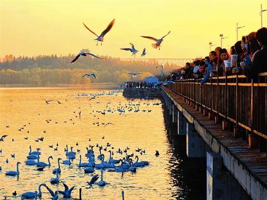 光影中的三门峡（557）