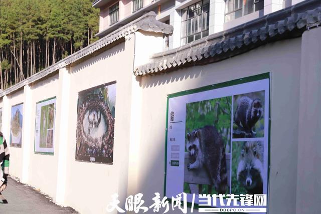 单日客流过万,凯里动物园创纪录!