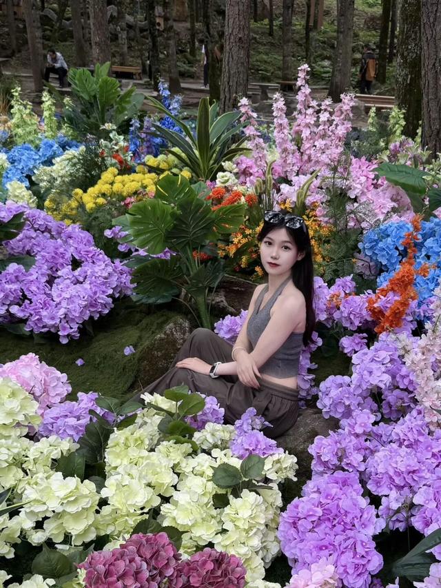 云端有座彩虹桥！嵩县白云山这条 “多巴胺天桥”，谁走谁心动！