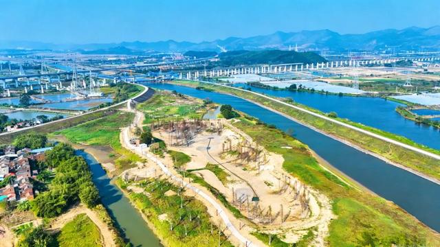 开阔江景！高明新晋打卡地+1，将打造生态漫游空间→