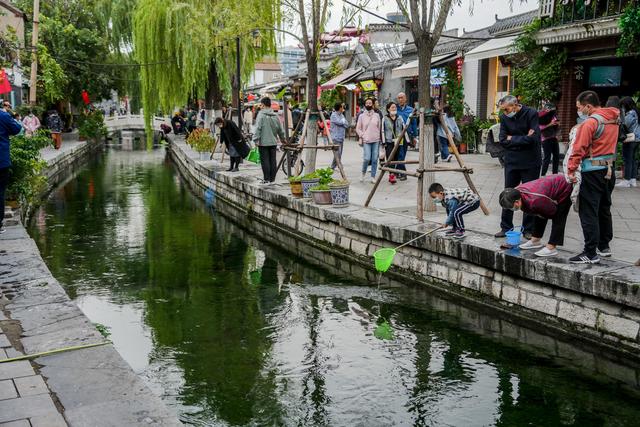 我的济南，我的故园 | 我在济南刚刚好