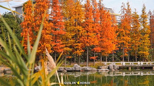 冬至丨解锁桂林的多彩冬天！