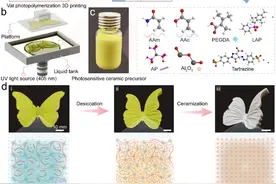 水凝胶3D打印新突破！“以柔制刚”实现复杂结构陶瓷图片