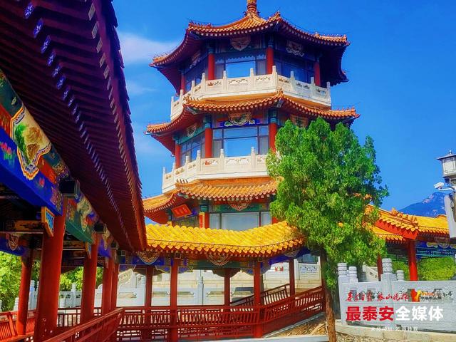 秋入虎山 绿意未减色更浓