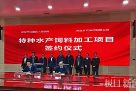 新春开门红，武汉江夏山坡签约两个产业项目图片