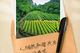武夷山国家公园：人与自然和谐共生的典范图片