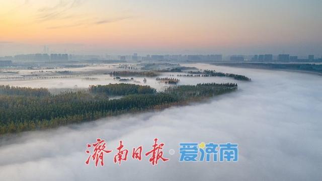 换个视角瞰济南，黄河平流雾美成“云端仙境”
