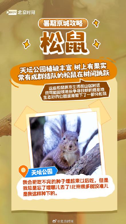 北京网红动物大盘点