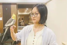 撸猫撸狗后 边喝咖啡边撸鸟 鸟咖成年轻人社交新场所图片