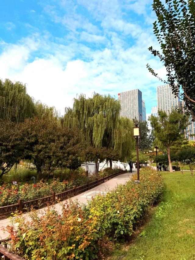 打卡人超多！小编实探：通州这个知名公园景观焕新升级，还藏着一处惊喜......