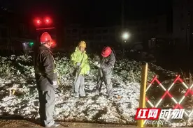益阳供电：初雪寒夜 电力保供守护猪崽过冬图片