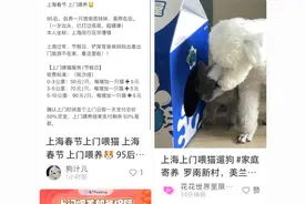 留守宠物怎么办？互助上门喂养来了！放了假的金融女、社工、设计师…帮附近的人上门喂宠物 ｜新春走基层图片