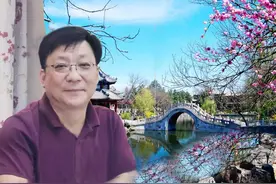 巩本勇：马踏湖“薅苇子”图片