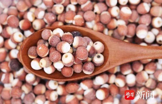 元旦来同里，用一场“甜度满分”的仪式感开启2026！