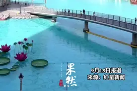 “缅北电诈”搬到迪拜？在当地生活过的中国人：电诈园区数量近年有所增加，需警惕“高薪诱惑”图片