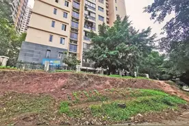 城市“菜园子”管理能否“两全”图片