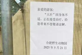 合肥野生动物园通报：“大壮”正接受治疗图片