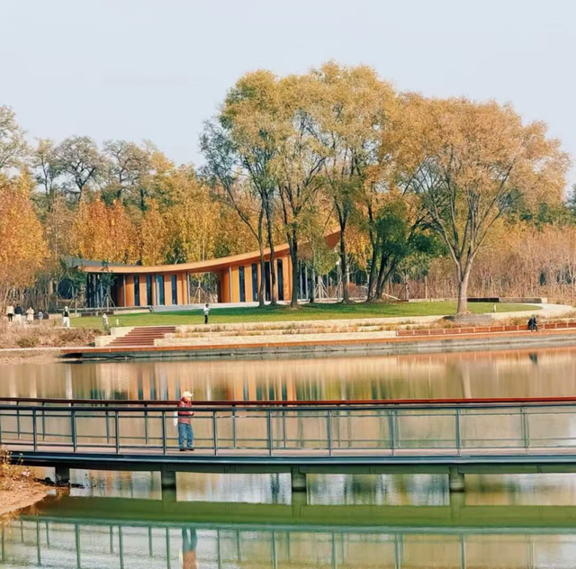 玉河湿地公园怎么玩儿？出片点位全攻略