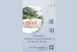 别跑空！因雪天道路结冰，青岛动物园今日继续闭园一天图片