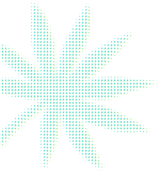 湛江最新漫游攻略！打工人的假期精神快充→