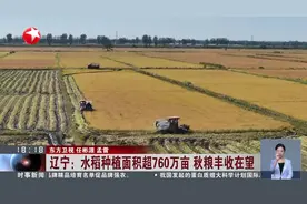 第六个中国农民丰收节 夏粮丰收早稻增产 全年粮食生产形势良好视频封面