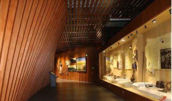 这个冬天，猫在巴彦淖尔才是幸福事