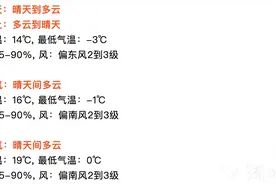 势如破竹的大回暖，武汉气温即将破20℃！图片