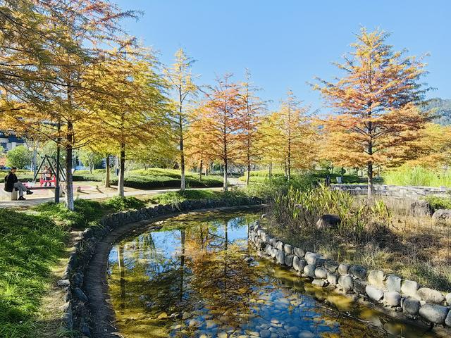 晚潮｜千峡湖畔，正是红橙黄绿时