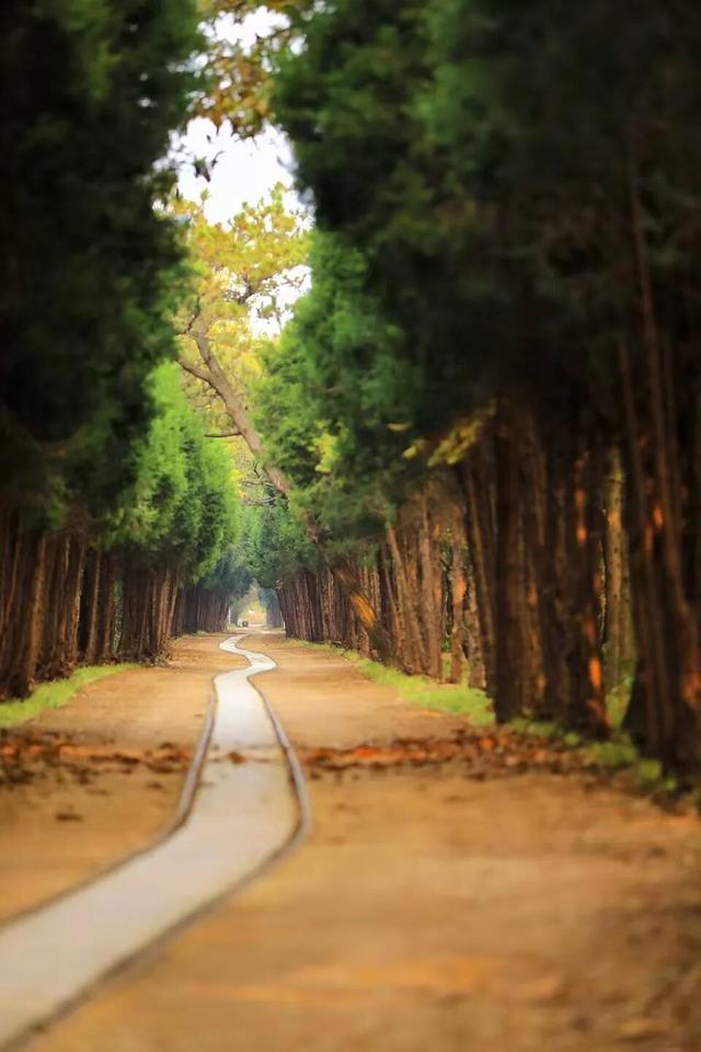 日照色彩派对开启！“美拉德”风景正当时！