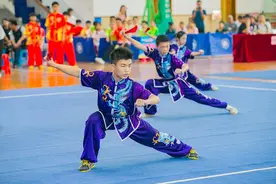 个论 | 开发佛山传统体育资源 培育中小学生核心素养图片