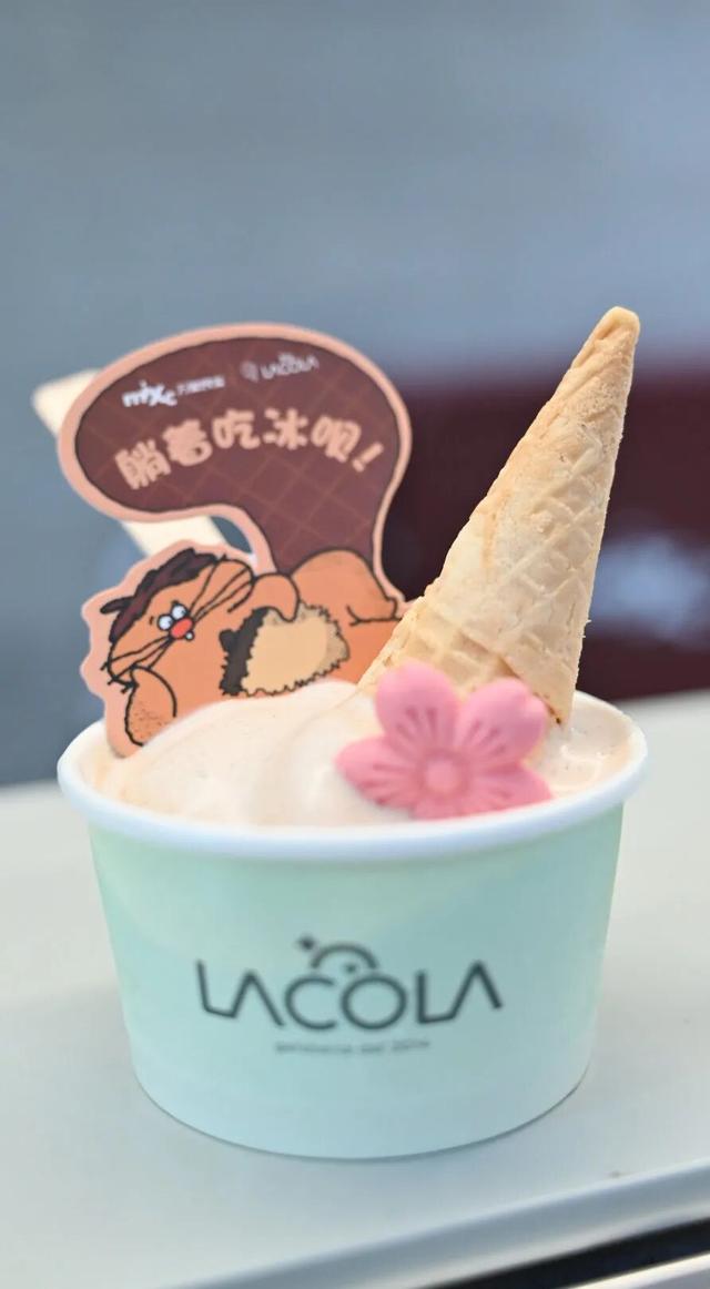 万象食家三周年！好玩又好拍，速度码