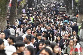 清明假期湖南接待游客近2000万人次 客流量前五是这几家景区图片
