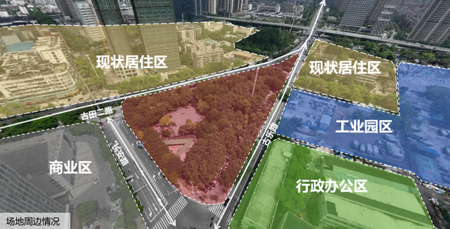 硚口藏了个“森林游乐场”？一站玩到嗨！