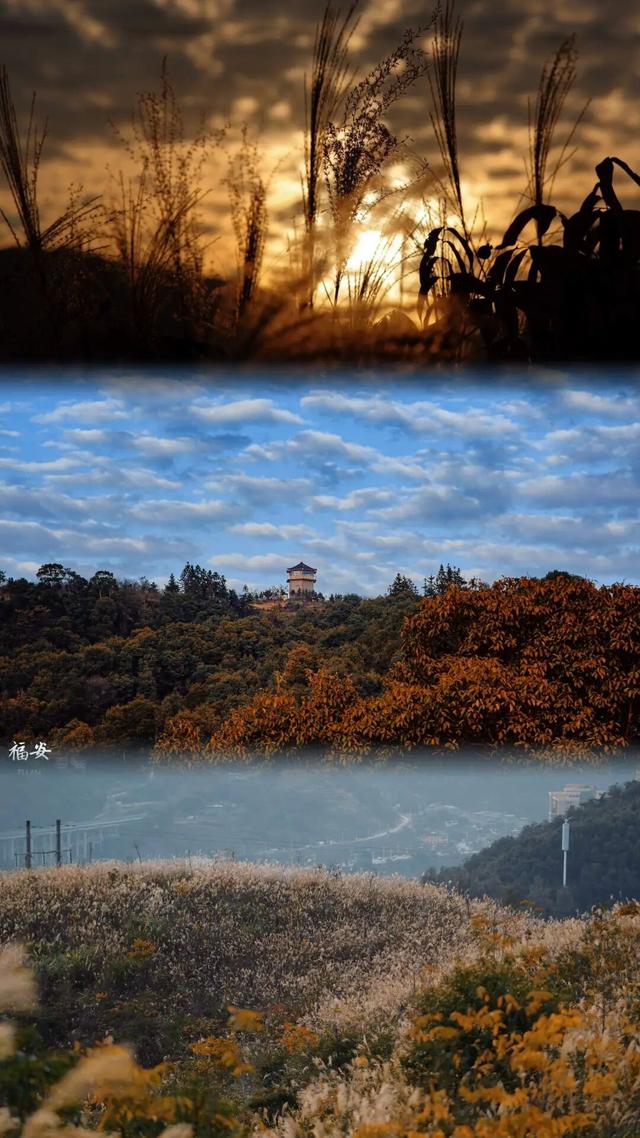 属于福安人的第一场“雪”来了！