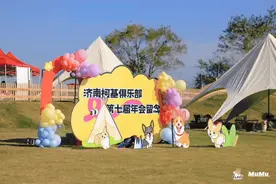 济南柯基俱乐部第七届年会跨界盛事温暖人心图片