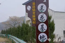 广水吴店：兰花开出“致富花”图片