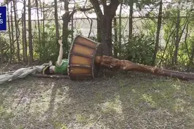 日本一游乐场突发事故：近3米长装饰物从运行中的海盗船掉落 直击游客坐席图片