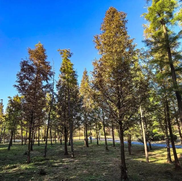 @高邮人 邀请您找寻心中的……