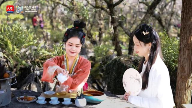 你有一份来自荔波万亩梅原的邀约 You Have an Invitation From the Plum Blossom Garden in Libo