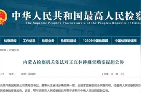 “油老虎”王宜林被提起公诉！执掌中石油近五年，曾称腐败对企业发展破坏力最大图片