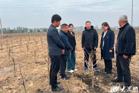 青岛农业大学携手菏泽企业共促牡丹产业升级与景区发展图片