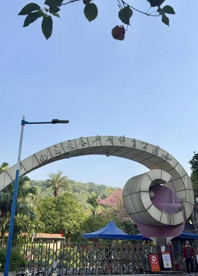 今天走了一段很长的路