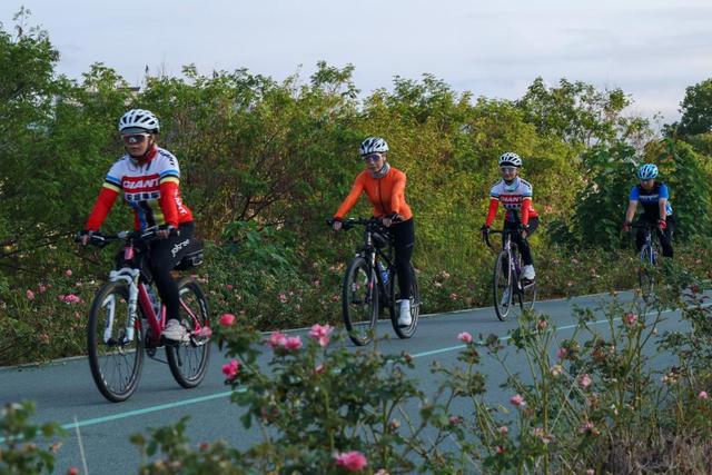 福建武夷山：骑行践行绿色低碳健康生活方式