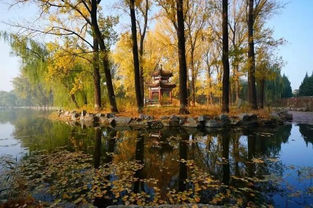 漫谈圆明丨圆明园的秋