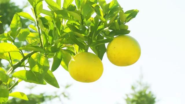 航旅融合 | 抽免费机票，到三明20℃的暖冬里，邂逅令人怦然心动的秘境