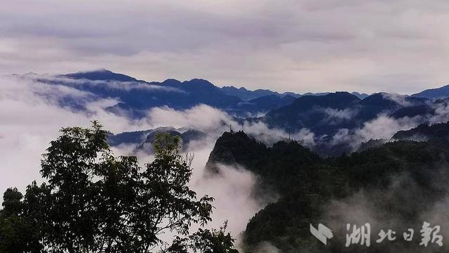 鹤峰容美：雾漫清晨