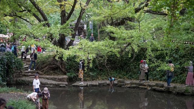“双节”假期：妥乐景区人气旺 研学休闲两相宜