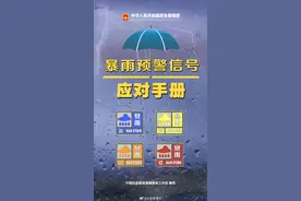 暴雨预警信号应对手册图片