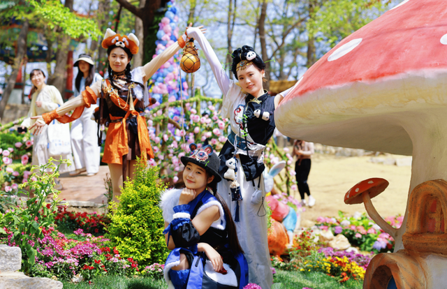 限时4天！蒙山面向全国女性、医护人员免费开放！