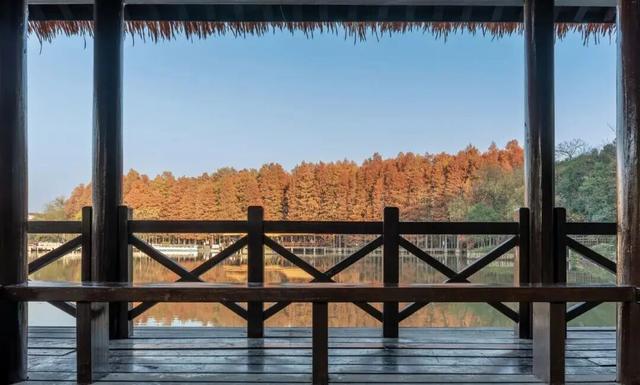 巨出片！马鞍山这里进入最佳观赏期